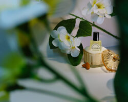 A softly lit still life of white flowers with yellow centers and glossy green leaves arranged behind a small perfume bottle labeled “Champaign Socialist.” The bottle sits in a heart-shaped glass container with its decorative lid placed beside it, and a few almonds rest on the white surface. Blurred green leaves frame the foreground.